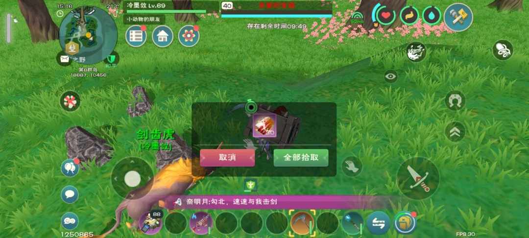 [图片]