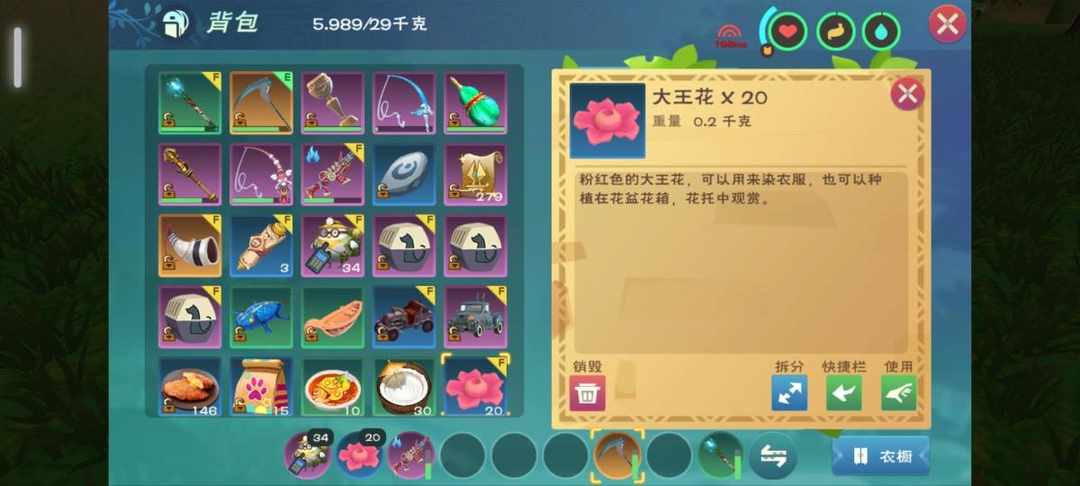 [图片]