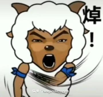 [图片]