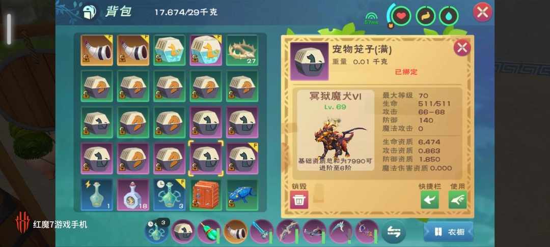 [图片]