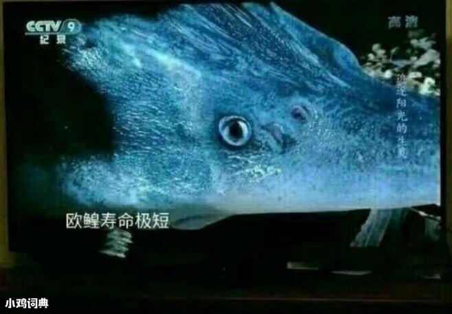 [图片]