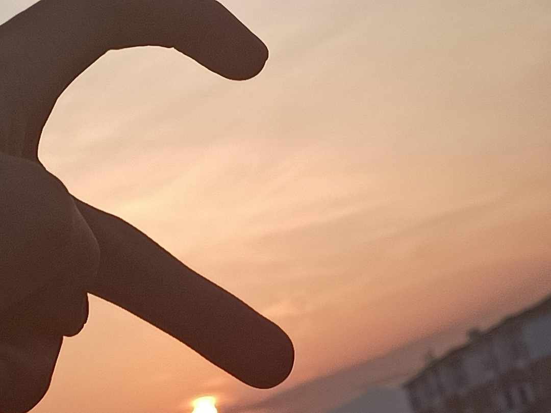 [图片]