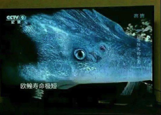 [图片]