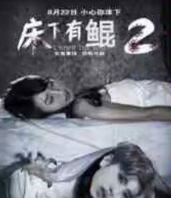 [图片]
