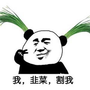 [图片]