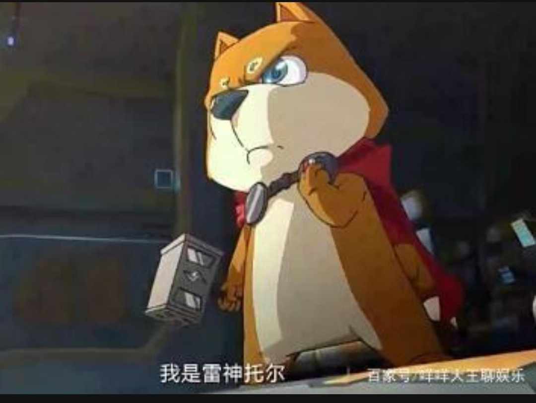 [图片]