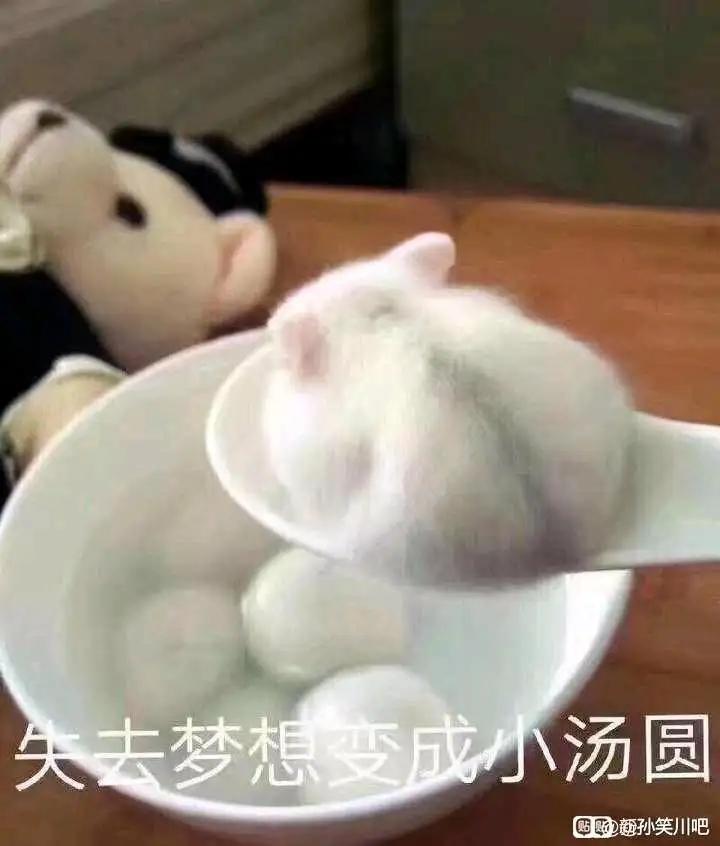 [图片]
