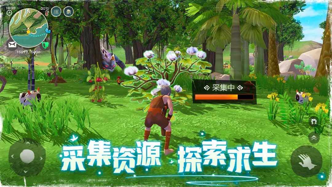 [图片]