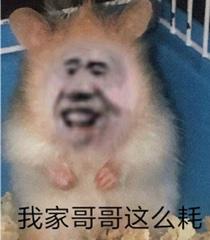 [图片]
