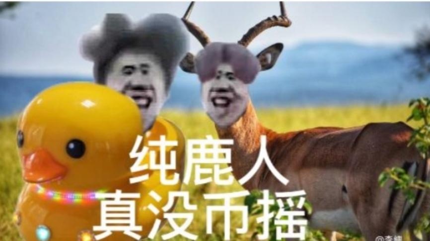 [图片]