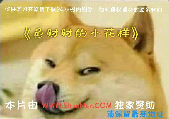 [图片]