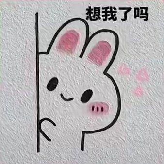 [图片]