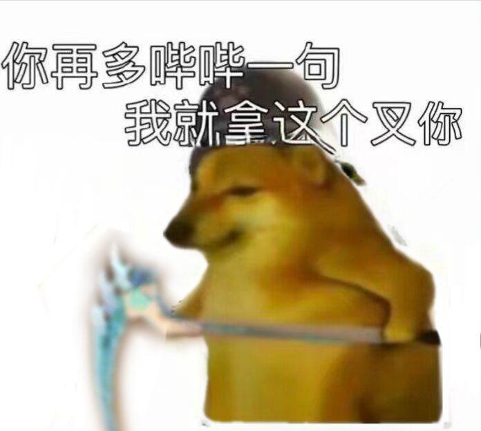 [图片]
