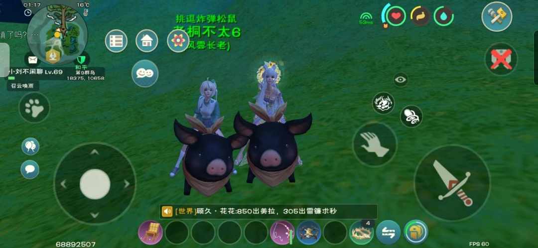 [图片]