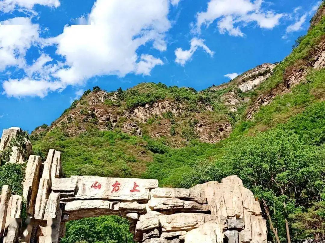[图片]