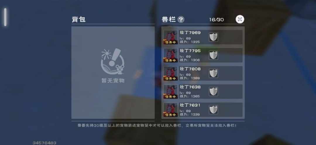 [图片]