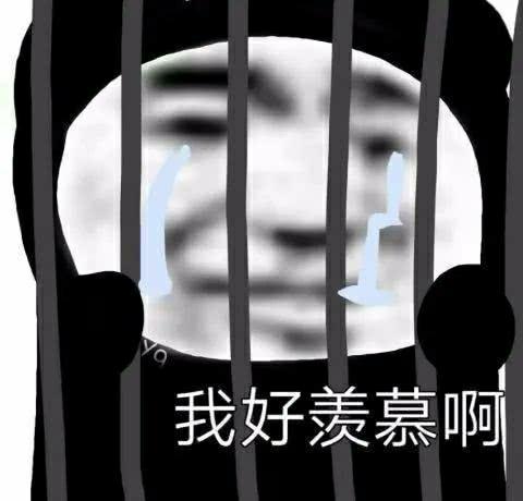 [图片]