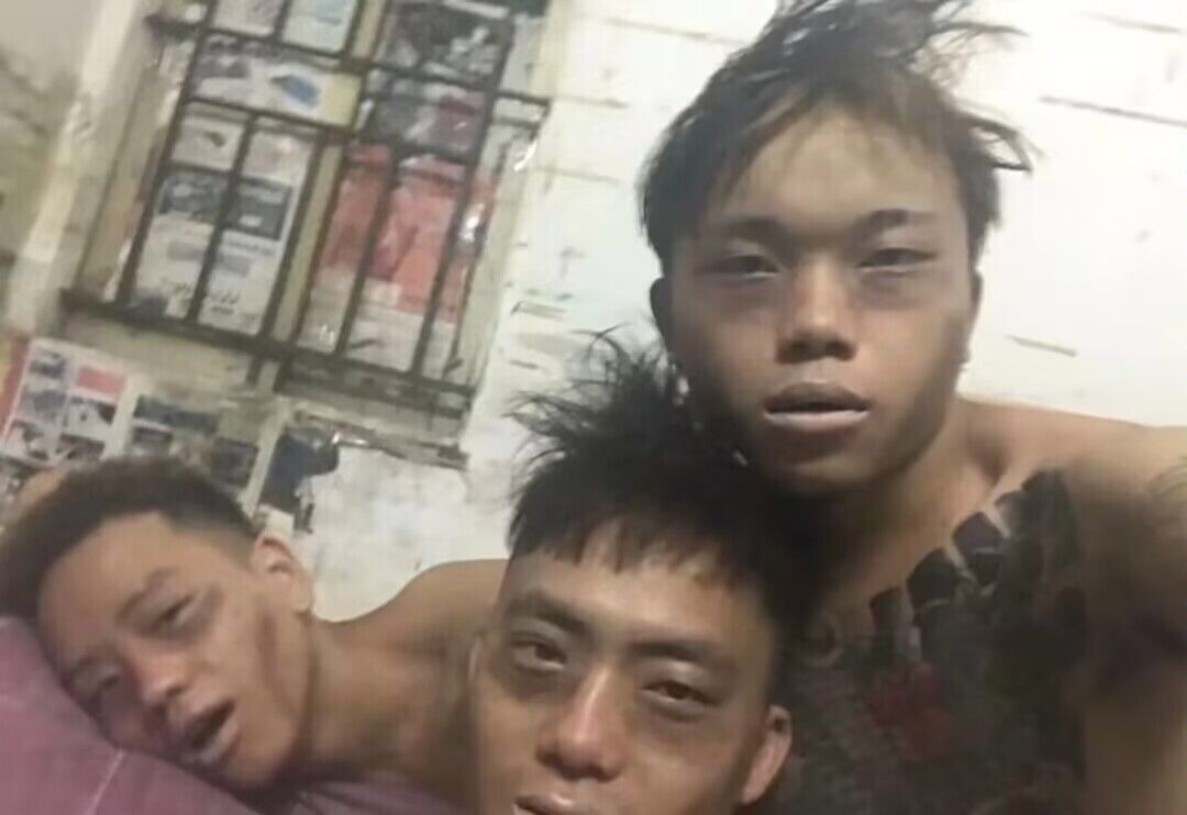 [图片]