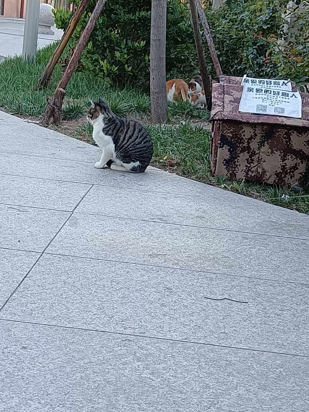 [图片]