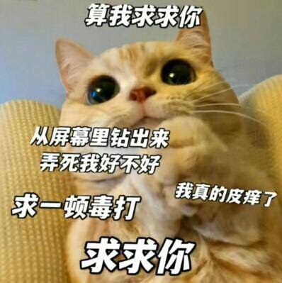 [图片]