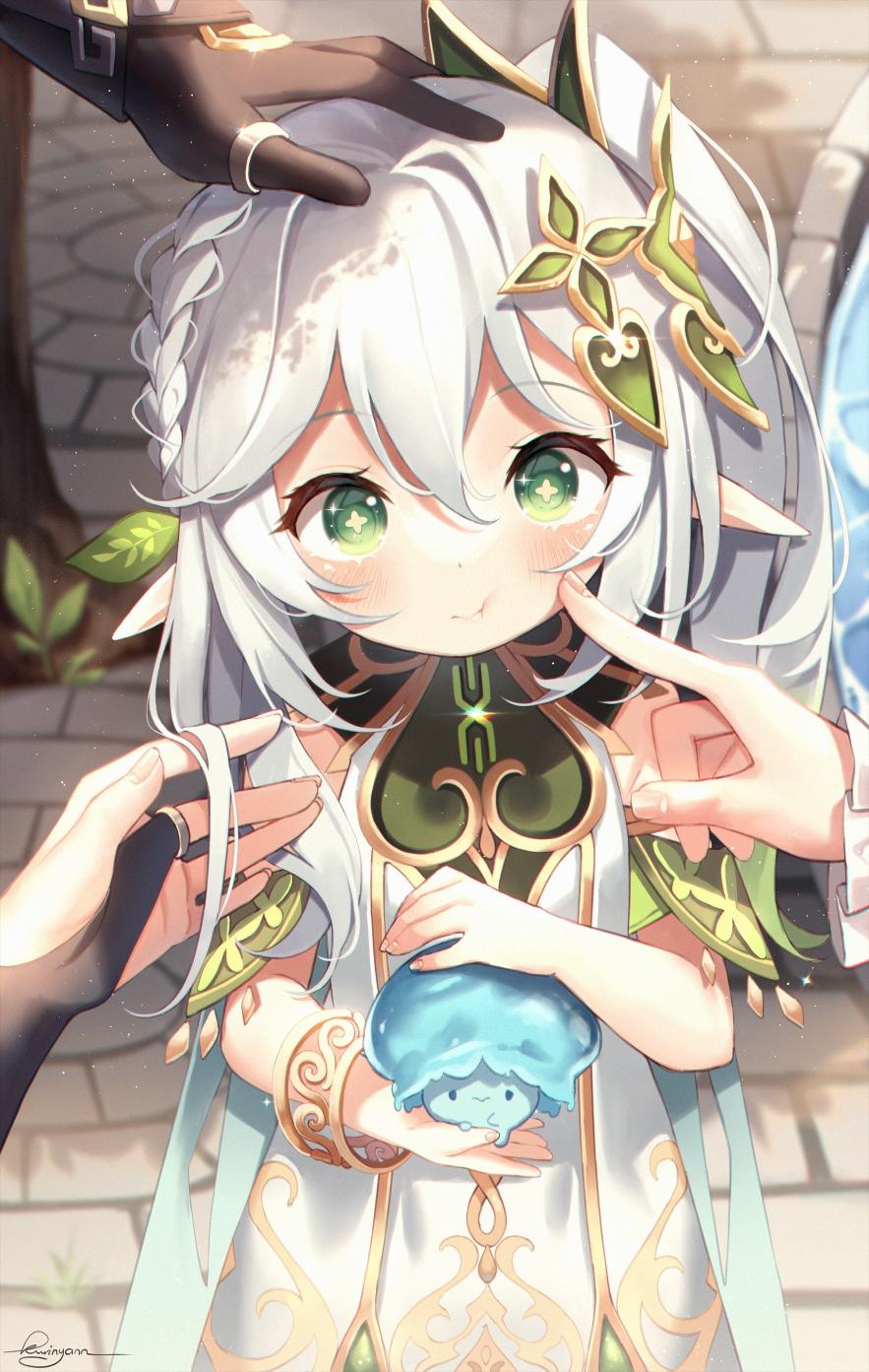 [图片]
