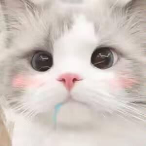 [图片]