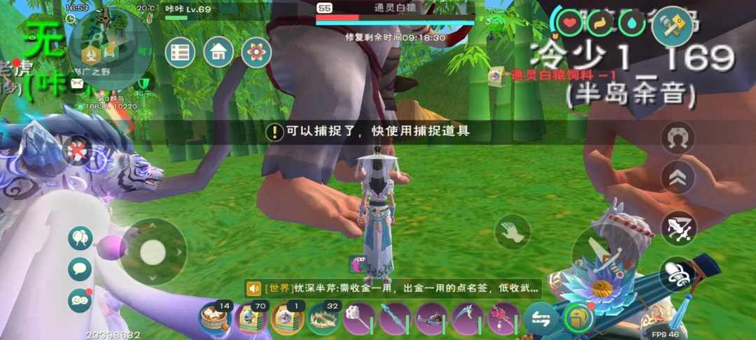 [图片]