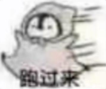 [图片]