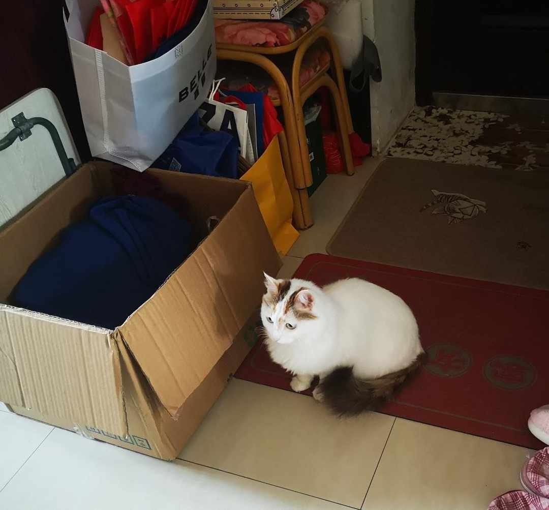 [图片]