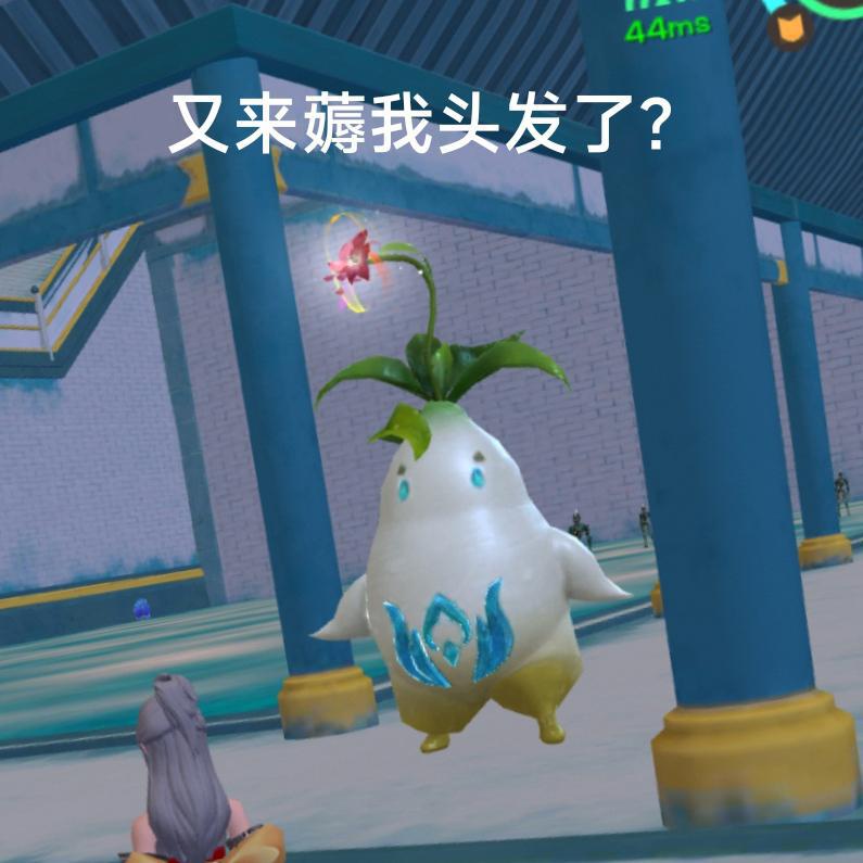[图片]
