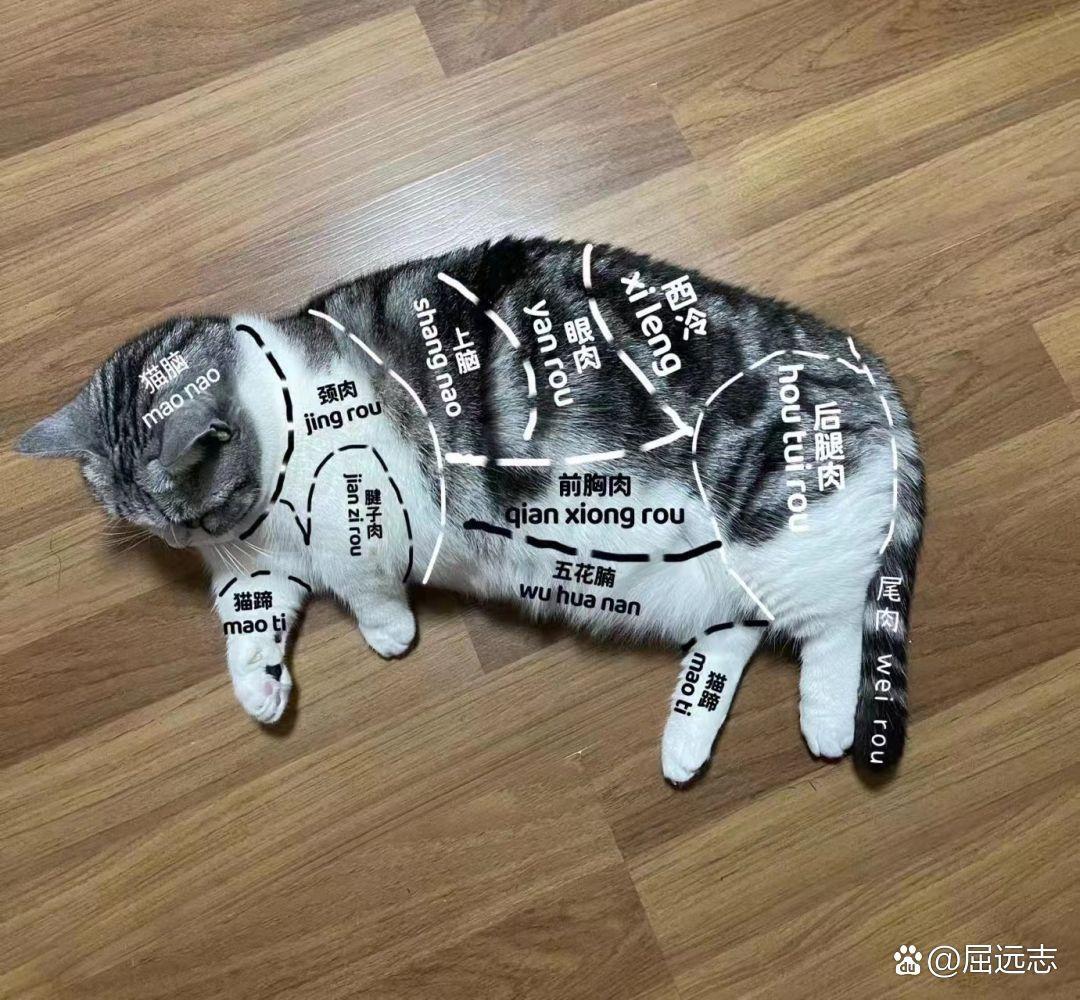 [图片]