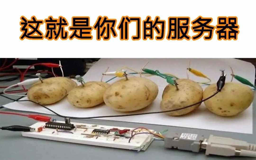 [图片]
