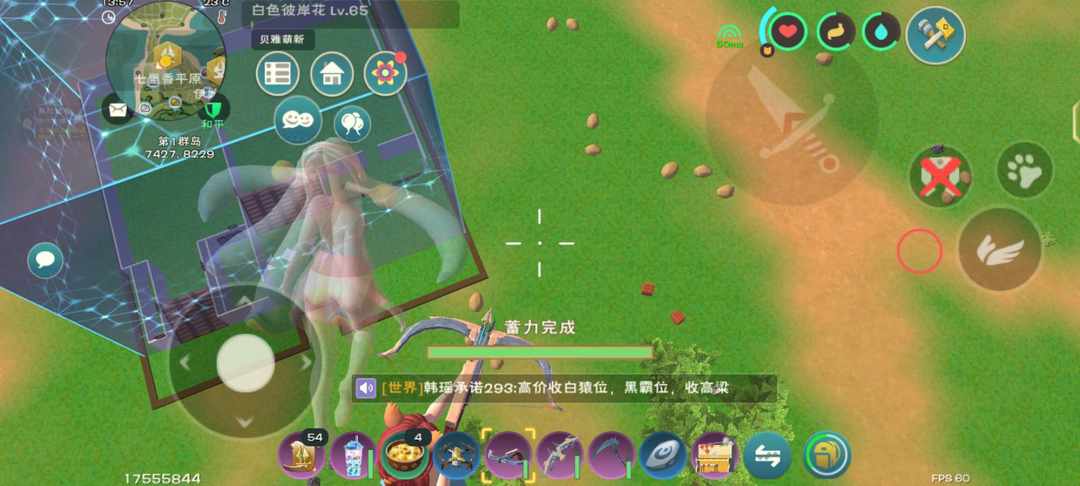 [图片]
