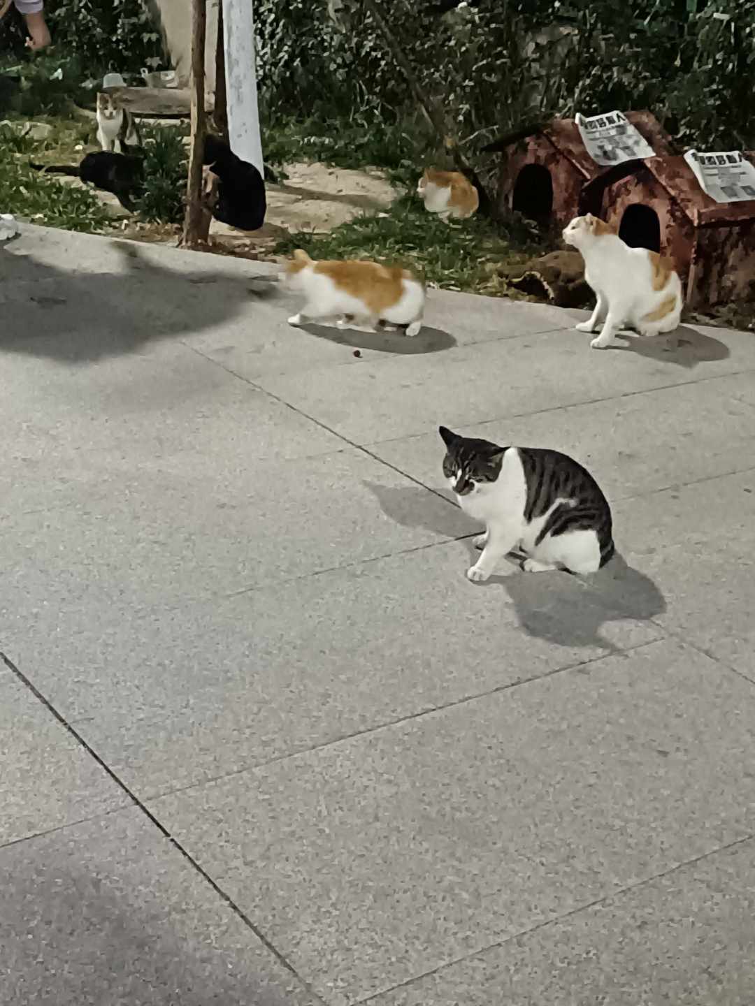 [图片]