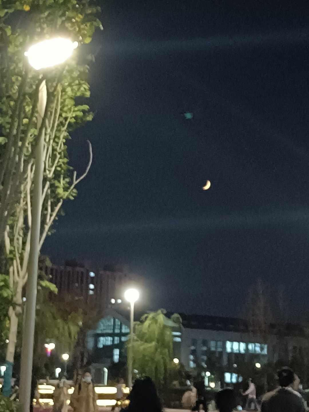 [图片]