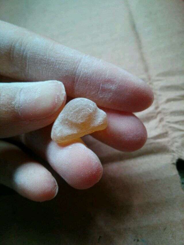 [图片]
