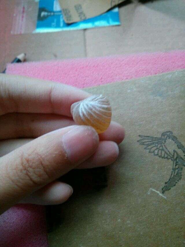 [图片]