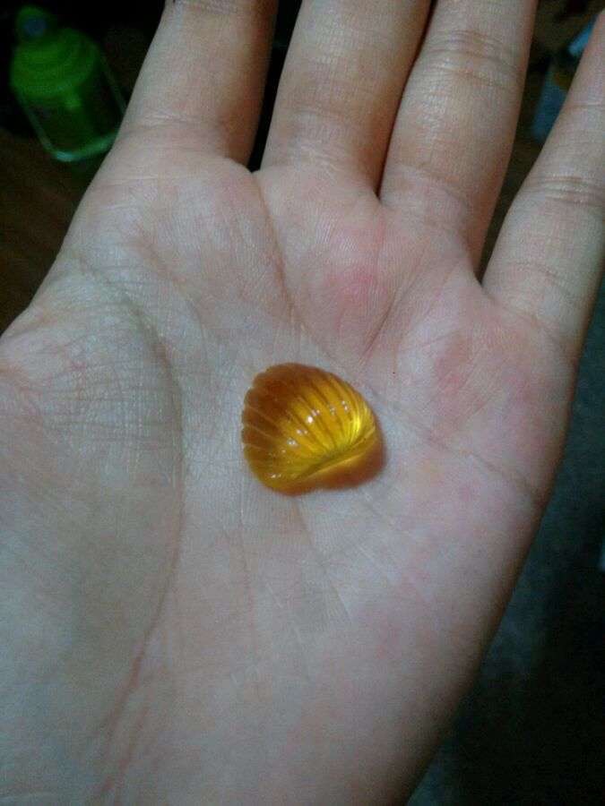 [图片]
