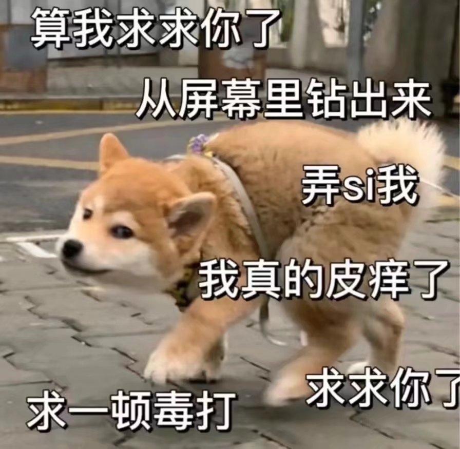 [图片]