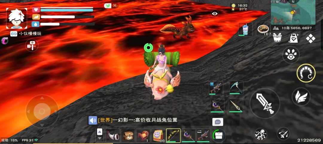 [图片]