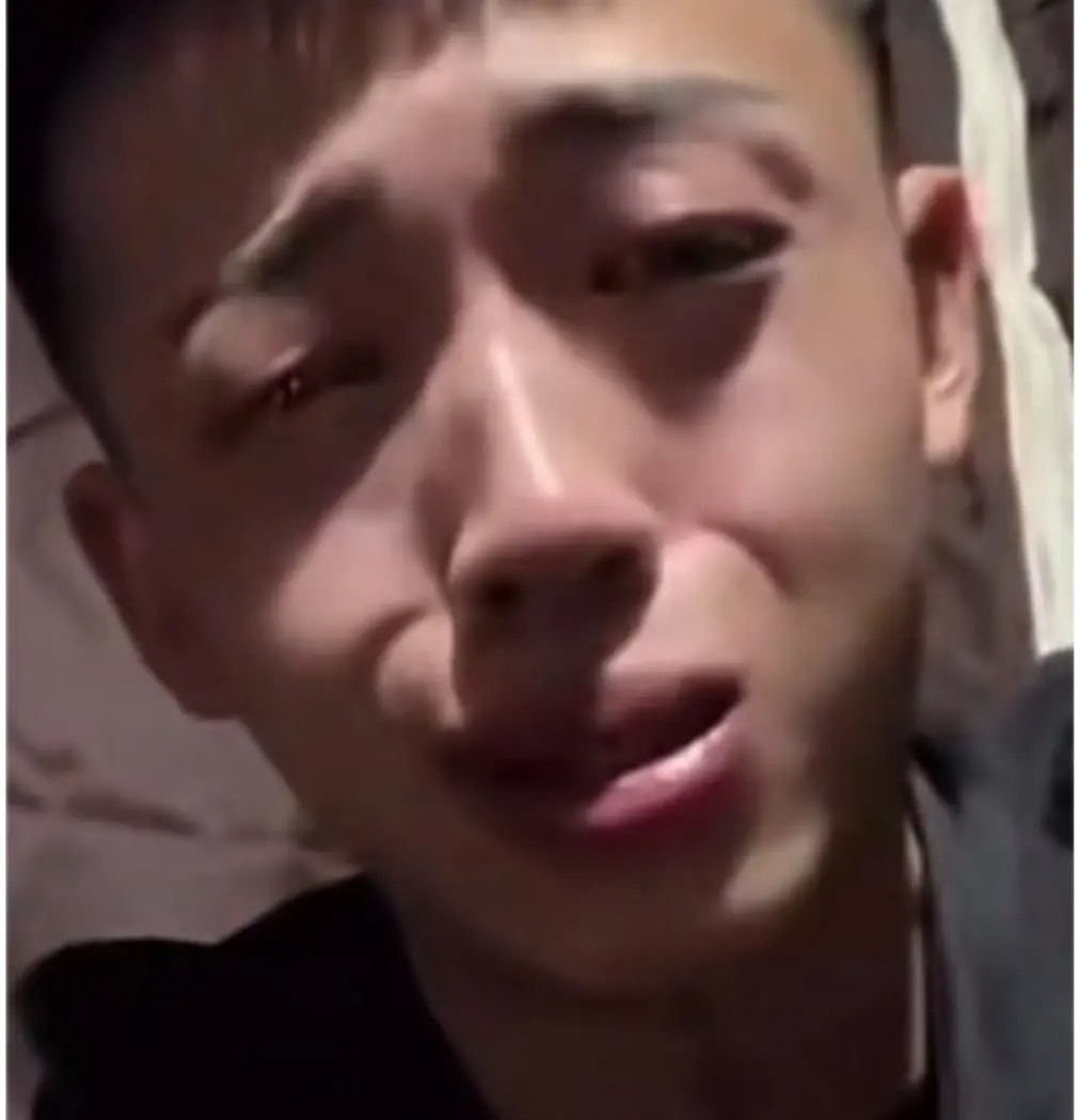 [图片]