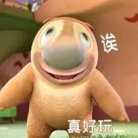 [图片]