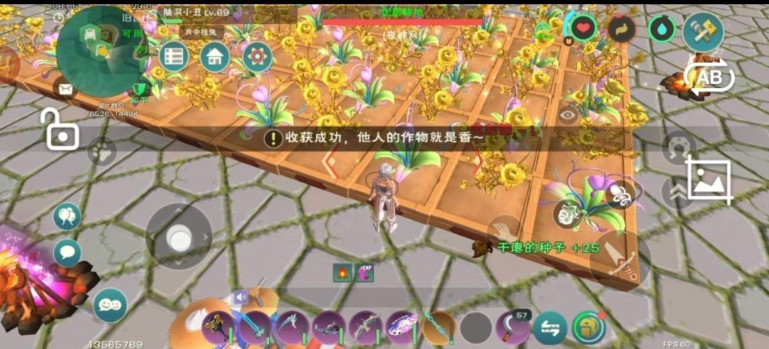 [图片]