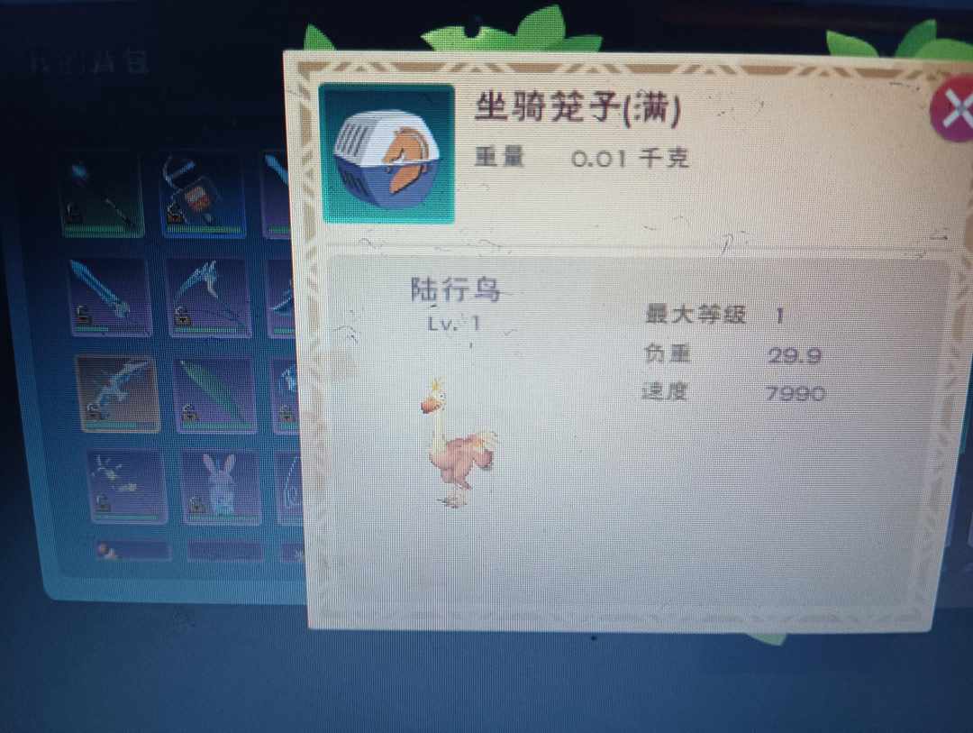 [图片]