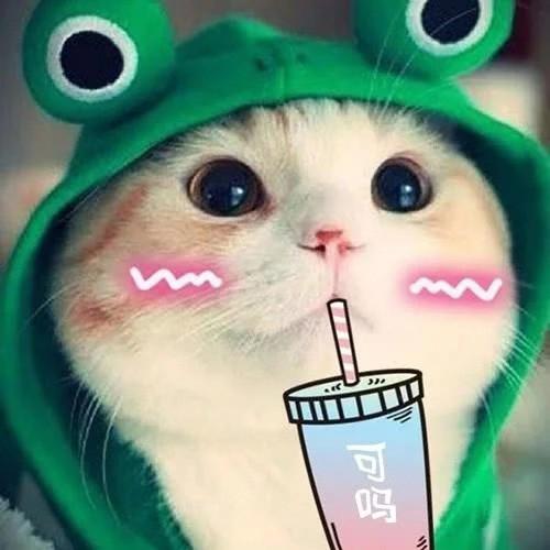 [图片]