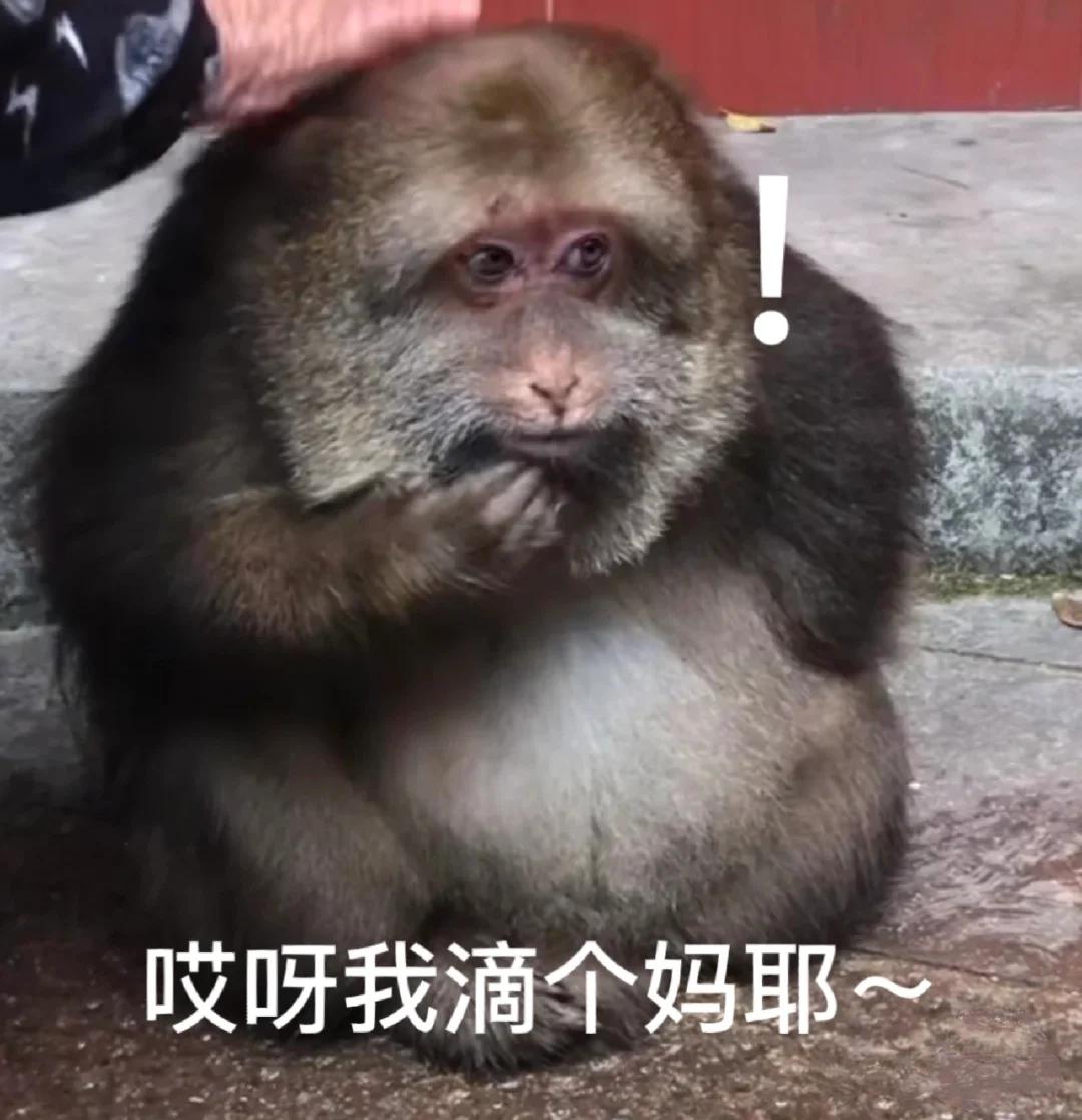 [图片]