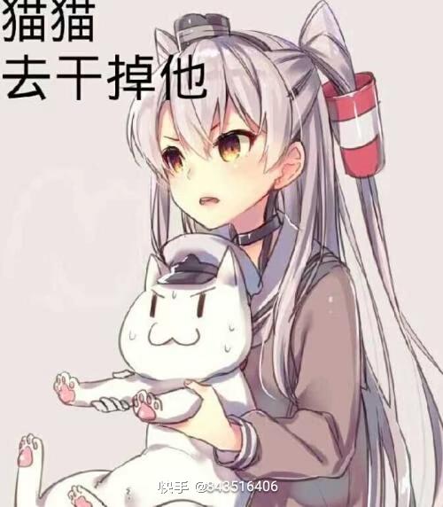 [图片]
