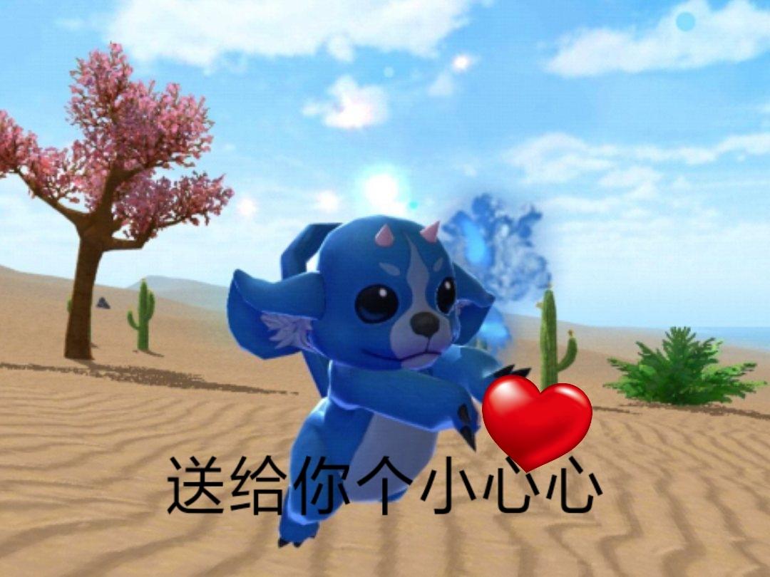 [图片]