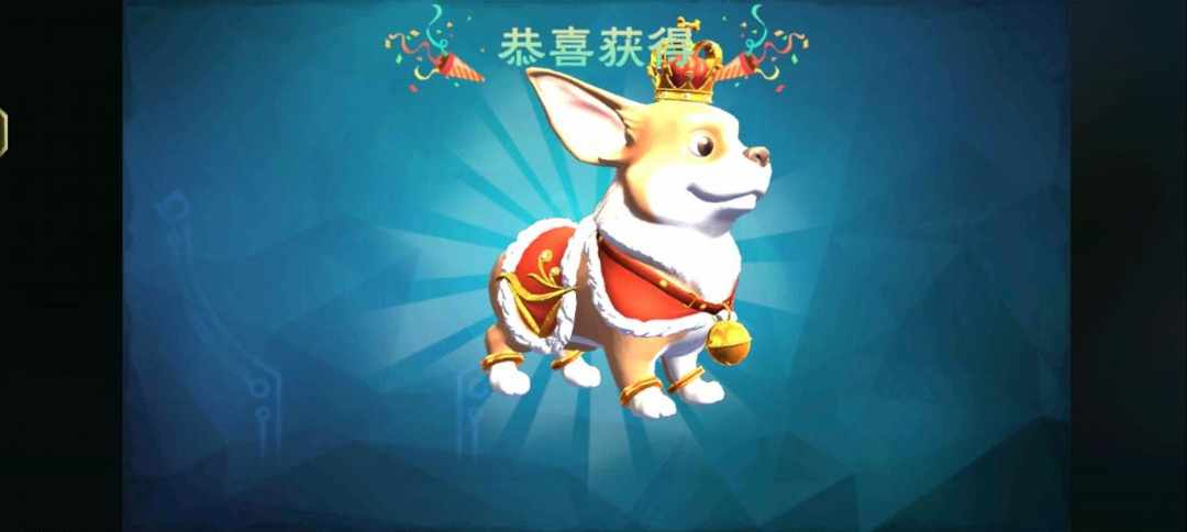[图片]