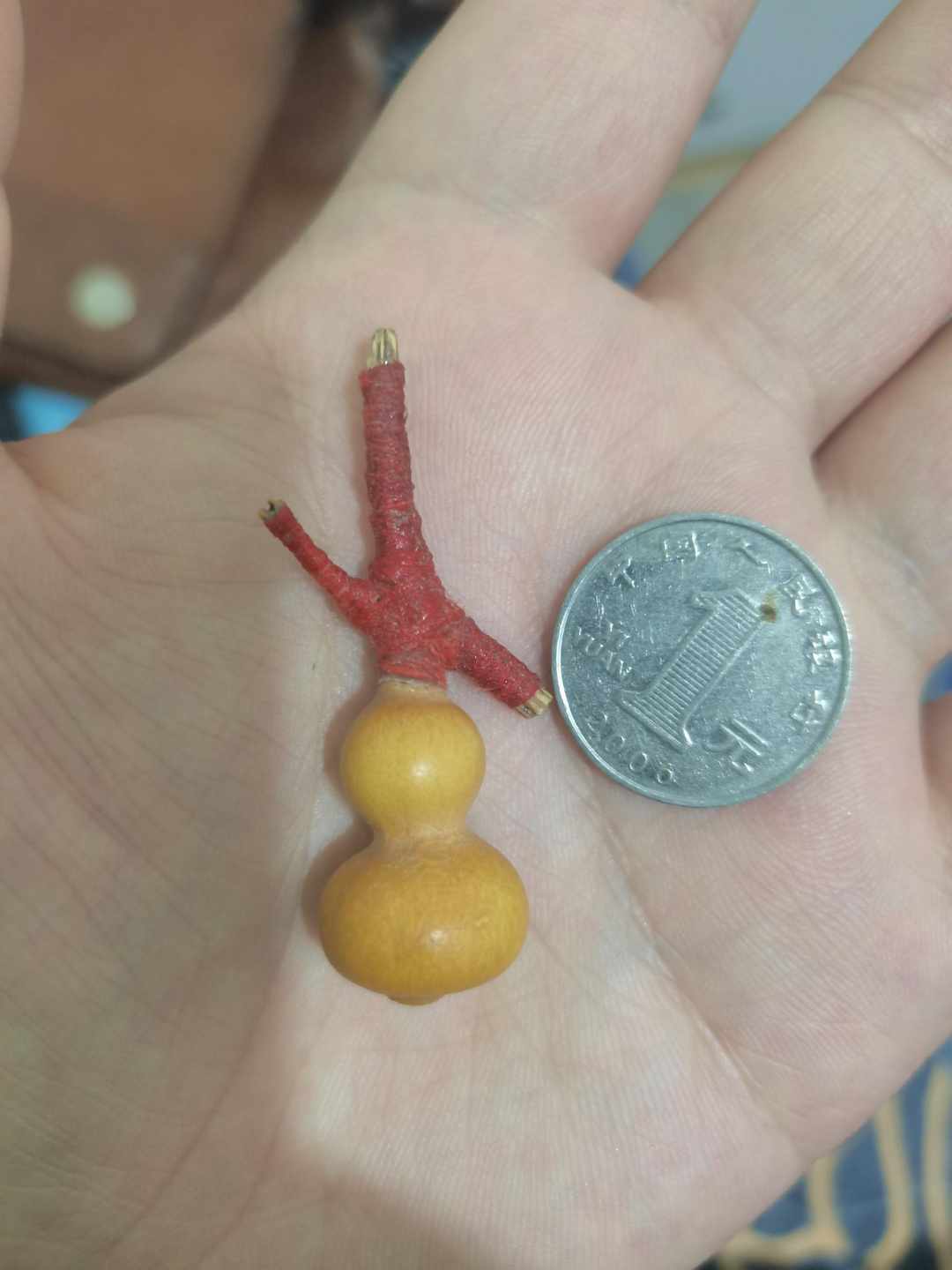 [图片]
